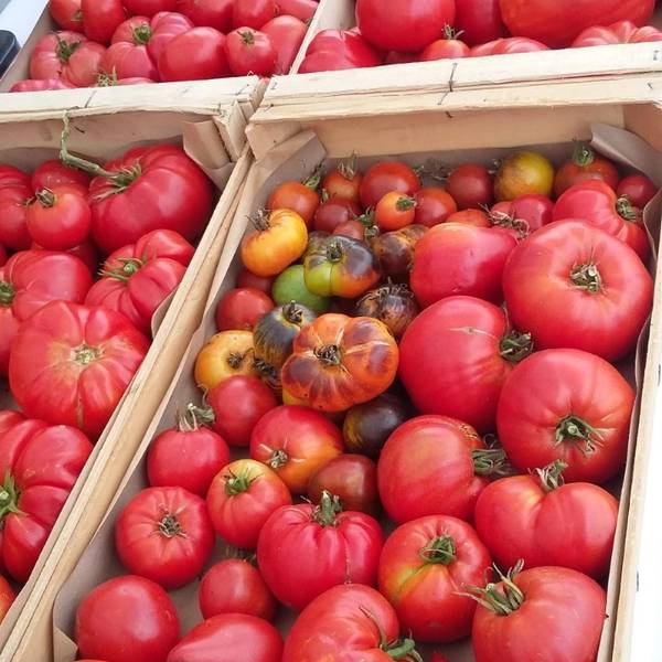 marché